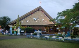 Christmas Lights at Cleveland Uniting Church