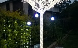 Beautiful light tree